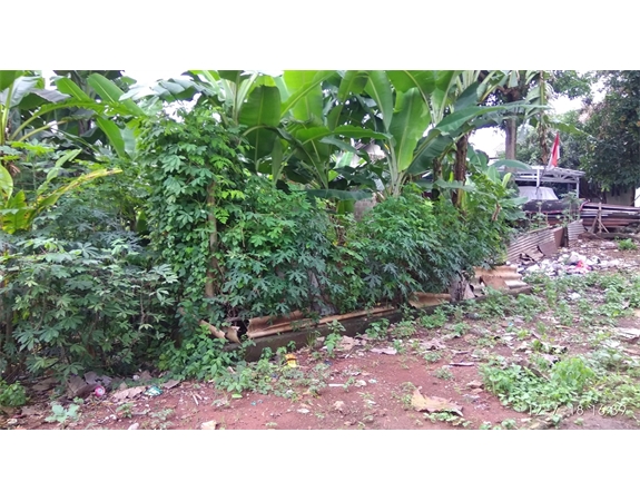 Tanah dijual di Pangkalan Jati Cinere Depok Tanah dekat Pondok Labu (3).jpg